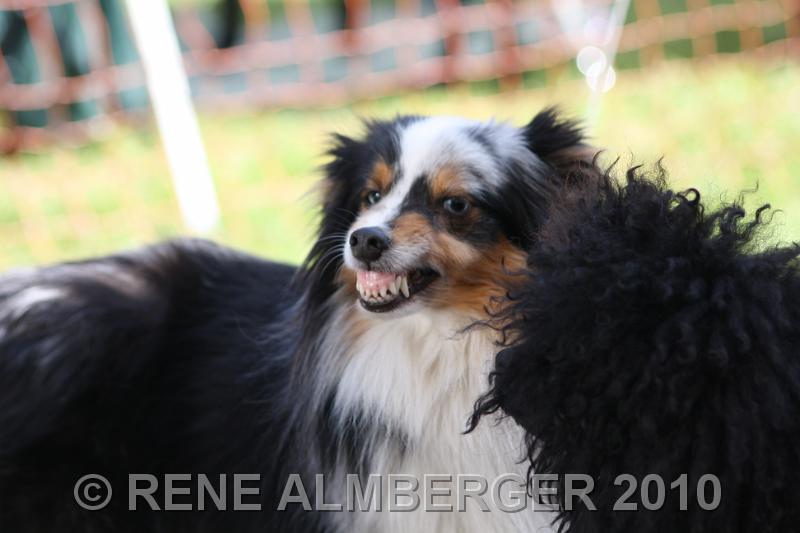 Bild 502.jpg